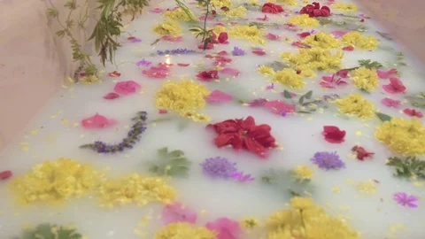 Flowers Float on the Surface of a Milk Bath in a Pink Bathtub 動画素材 74003634