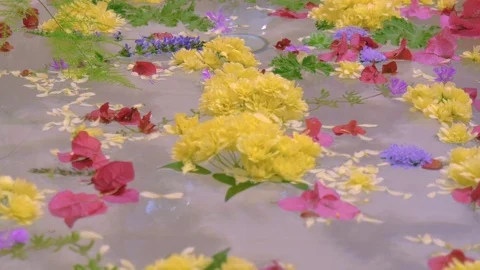 Flowers Float on the Surface of a Pink Bathtub Stock Footage 74003864