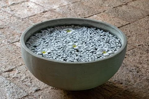 Flowers Float in Water Filled Stone Bowl Stock Photos