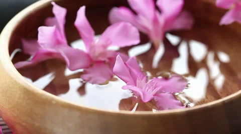   flowers floating Stock Footage 952033