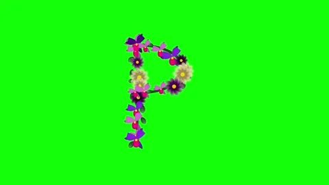 Flowers Floating on Green Screen Chroma Key Background Video stock 337996404