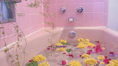 Flowers Floating on the Surface of a Pink Bathtub Stock Footage 74004506