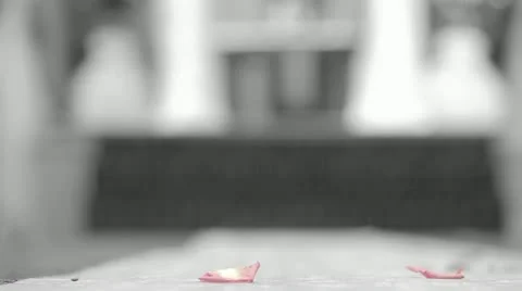 Flowers On Floor Stock Footage 11418407