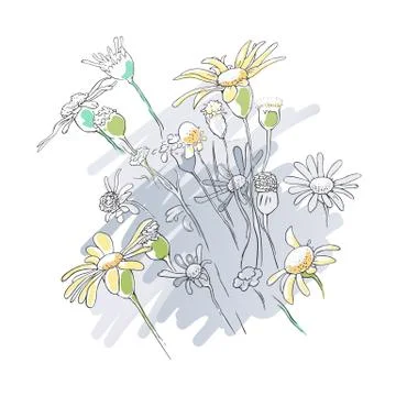Flowers floral linear background Ilustração Stock