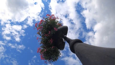 Flowers, flowerbed, lantern, sky, clouds, Stock Footage 95578503