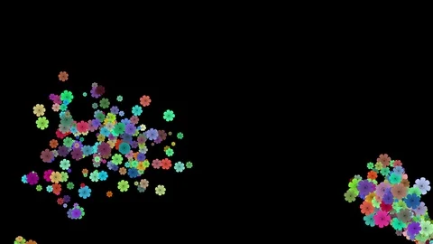 Flowers fly out Stock Footage 103302602