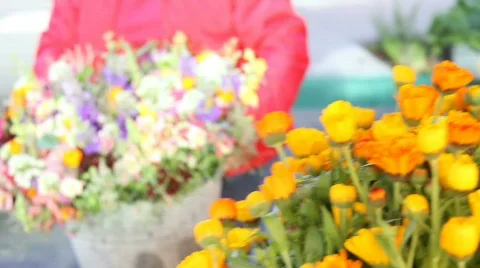 Flowers Stock Footage