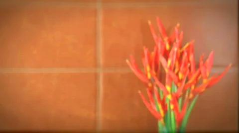 FLOWERS Stock Footage 825722