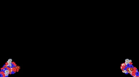 Flowers Video stock 8765955