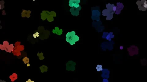 Flowers Stock Footage 8847709