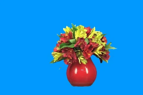 Flowers Stock Footage 19153917