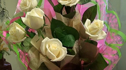 Flowers Stock Footage 32666525