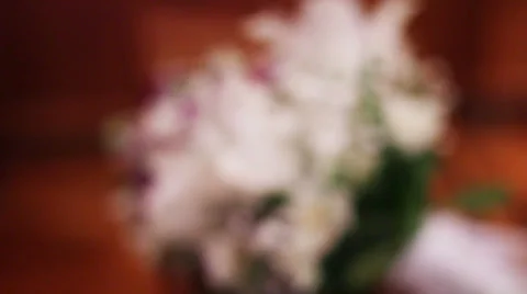 Flowers  Stock Footage 35623396