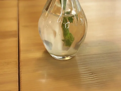 Flowers Stock Footage 81143706