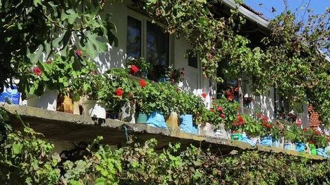 Flowers Stockbeeldmateriaal 83862146