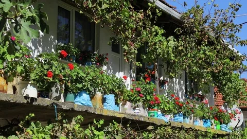 Flowers Stockbeeldmateriaal 83862407