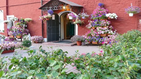 Flowers 動画素材 93609123