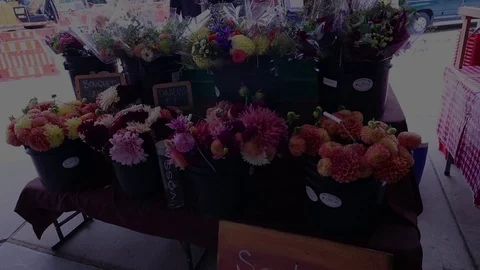 FLOWERS Video stock 102750965