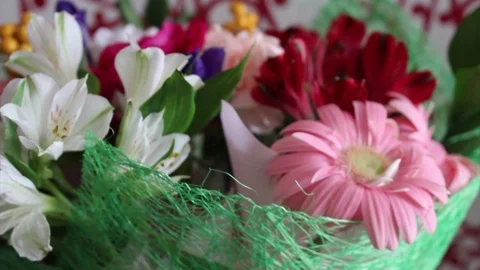 Flowers Stock Footage 104239920