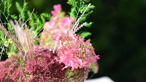 Flowers Stock Footage 141333532