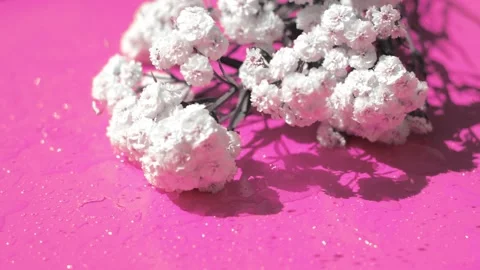 Flowers Stock Footage 156373782