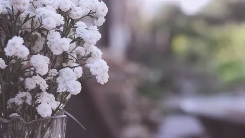 Flowers Stock Footage 156961032