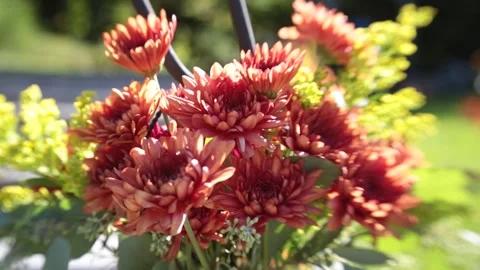 Flowers Stock Footage 233123960