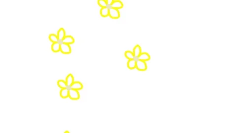 Flowers Stock Footage 330242698