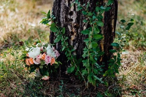 Flowers in the forest	 Stock Photos