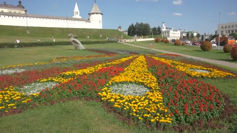 Flowers in the form of a Bird's Tail Stock Footage 134285639