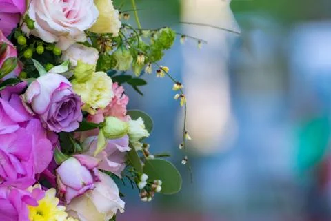 Flowers frame on bright background. Stock Photos