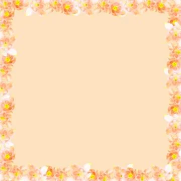 Flowers as a frame. Clean empty beige background. Blank for greeting message. Stock Photos