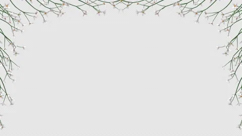 Flowers Frame Stock Footage 157374711