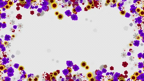 Flowers Frame Stock Footage 169604254