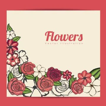 Flowers frame over green background vector illustration Ilustração Stock
