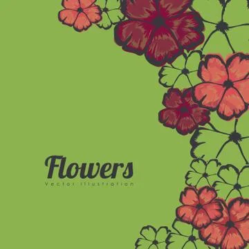 Flowers frame over green background vector illustration Ilustração Stock