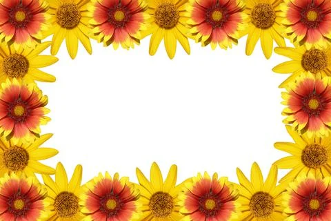 Flowers frame Stock Photos