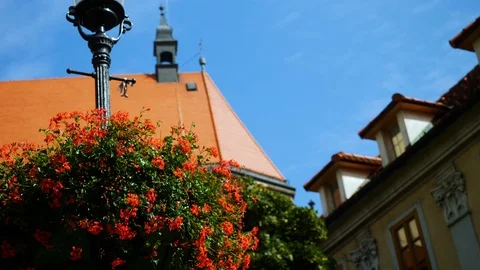 Flowers in front of ancient cathedral Stock Footage 120540134