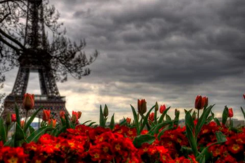 Flowers in front of the Eiffel Tower Stock Photos