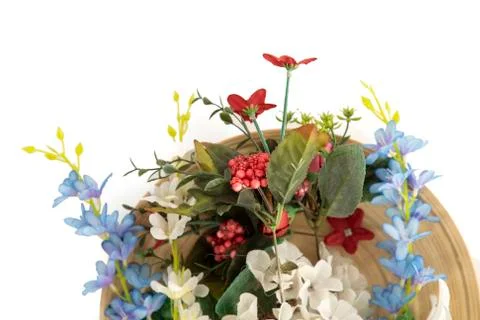 Flowers in front of white background Stock Photos
