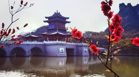 Flowers in Full Bloom Stock Photos