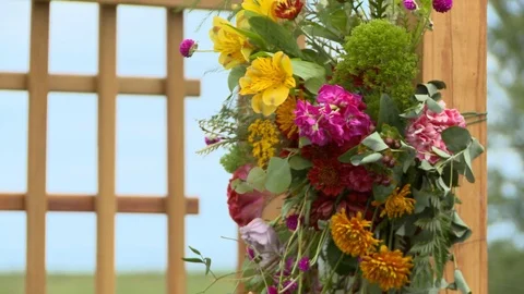 Flowers on garden arch Stock Footage 96546641