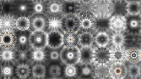 Flowers Garden Stock Footage 152478193