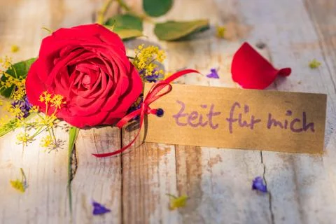 Flowers with gift card for timeout Stock Photos