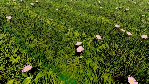 Flowers on Grass, 4K Animation, 3D Rendering Stock Footage 122248922