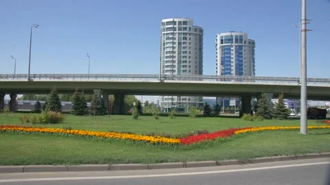 Flowers with Grass on the Background of the Bridge and Houses Video stock 134284825