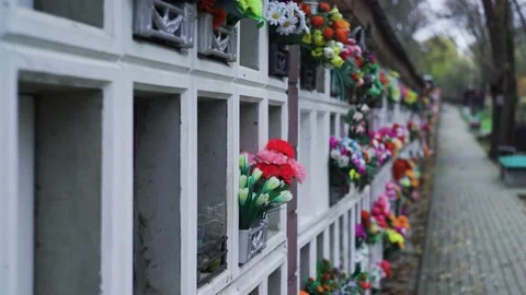 Flowers on a grave at cemetery Stock Footage 221471549