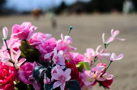 Flowers on a grave Stock Photos