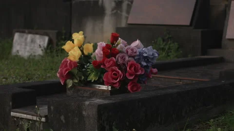 Flowers On A Gravestone Stock Footage 51416308
