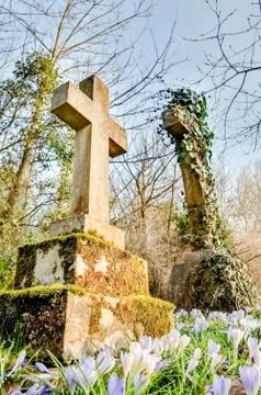 Flowers in a graveyard Stock Photos